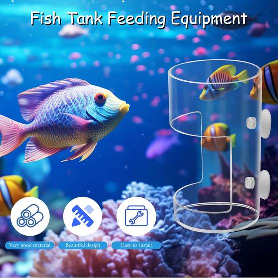 Plateau d'Alimentation avec Ventouse pour Aquariums DtopbuyAge - Image 3