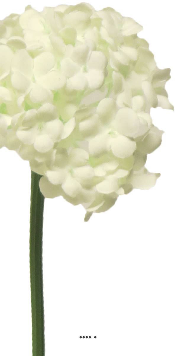 Artificielles - Fleurs de Viorne artificielles en tige, H 30 cm Crème - BEST - couleur: Crème - Imagen 3