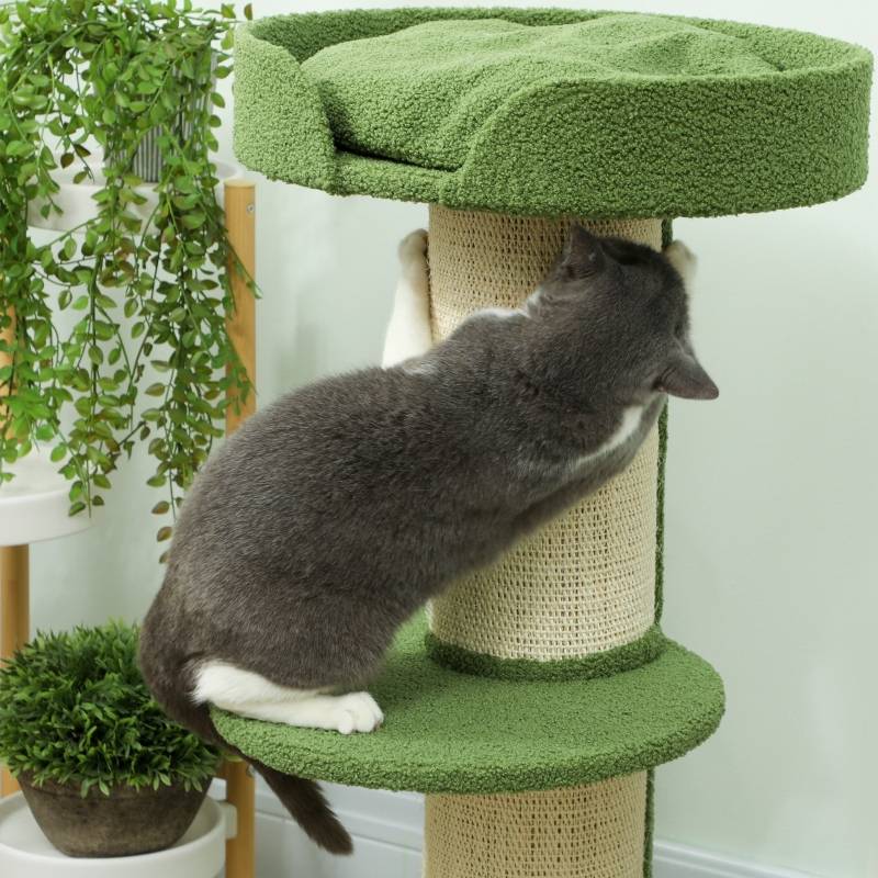 Arbre à chat 91cm avec lit et plateforme en laine d'agneau vert - Image 6