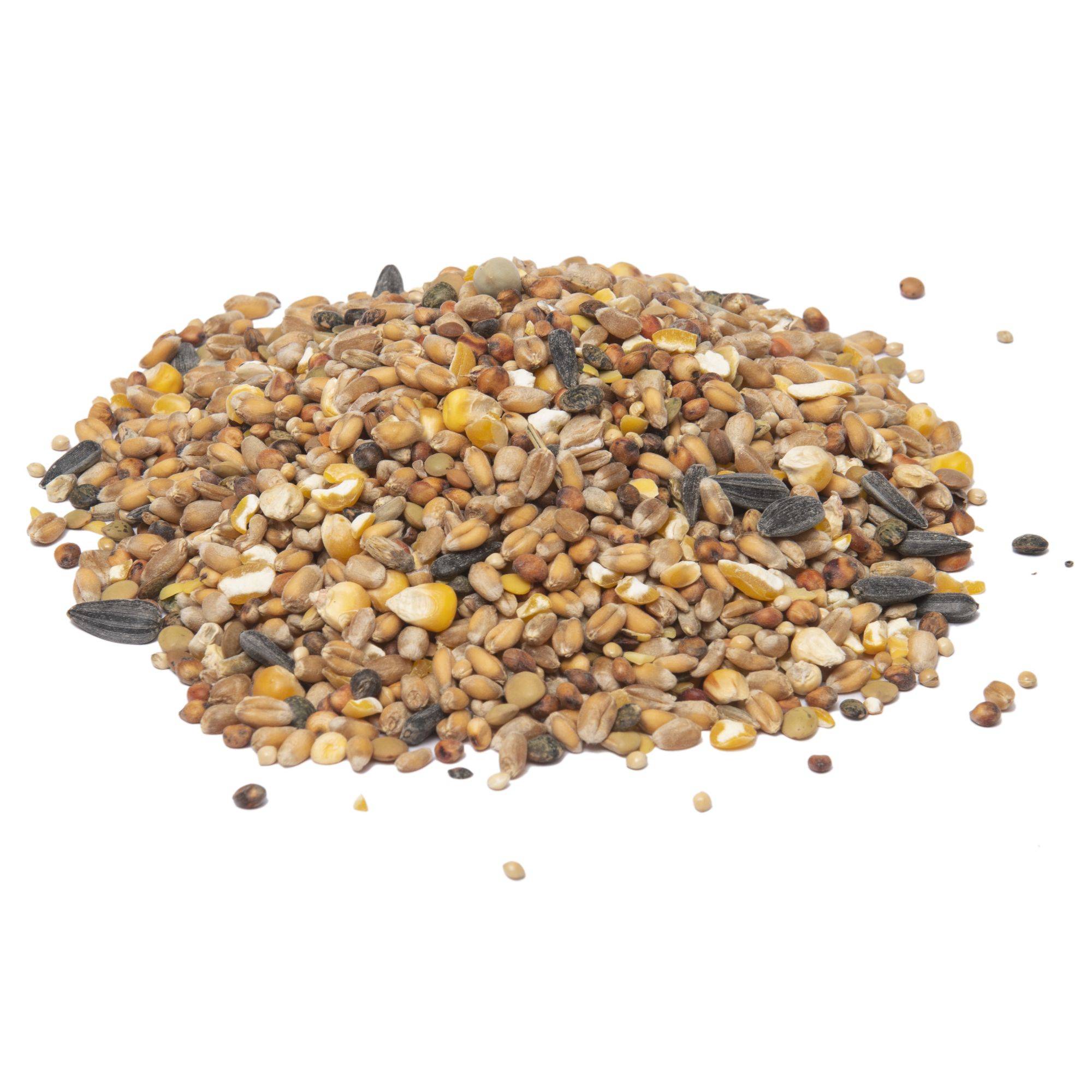 Zolux - Mélange de graines sac 5kg pour oiseaux de jardin - Image 3