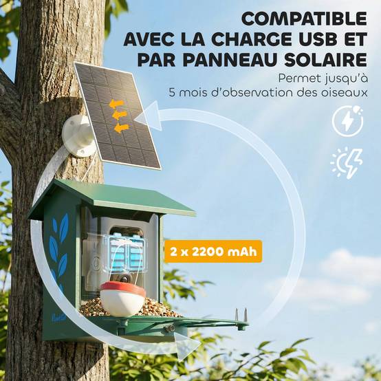 Mangeoire oiseaux intelligente caméra 2K solaire anti-écureuil acier 30x34x26cm vert - ComfortXL Outdoor Living - Image 10