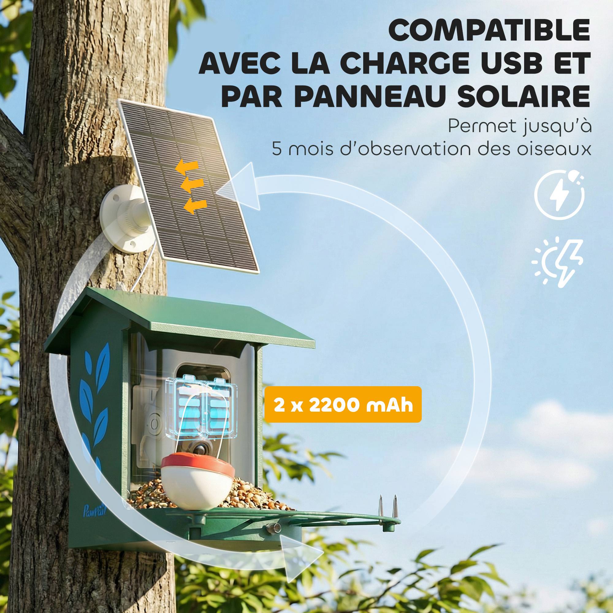 Mangeoire oiseaux intelligente caméra 2K solaire anti-écureuil acier 30x34x26cm vert - ComfortXL Outdoor Living - Image 10