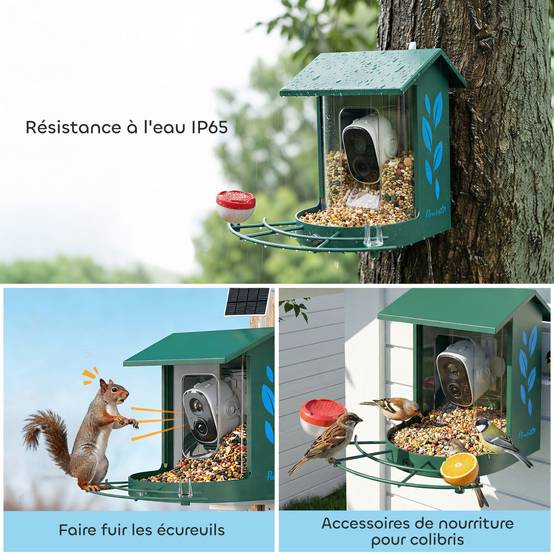 Mangeoire oiseaux intelligente caméra 2K solaire anti-écureuil acier 30x34x26cm vert - ComfortXL Outdoor Living - Image 9