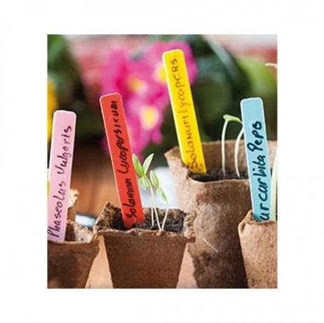 Etiquettes pour semis multicolores - Lot de 40 - Image 2