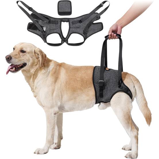 DtopbuyAge - Harnais de levage et soutien pour chiens - M - Image 1