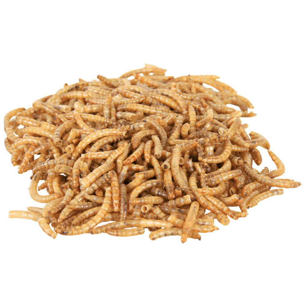 Trixie - Larves de vers de Farine séchées 70 GR - Image 2