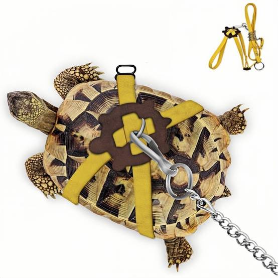 Harnais en cuir pour petite tortue DtopbuyAge - Image 1