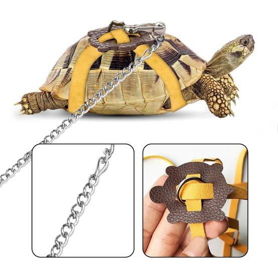 Harnais en cuir pour petite tortue DtopbuyAge - Image 2