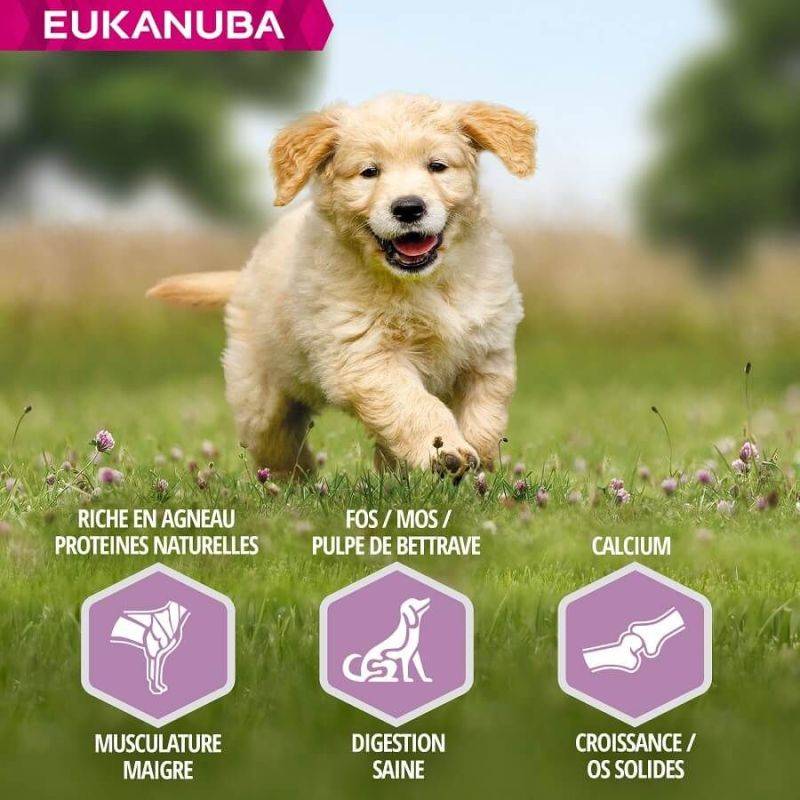 Eukanuba - CROQUETTES CHIEN PUPPY JUNIOR AGNEAU LARGE - EUKANUBA 12 kg - Imagen 2