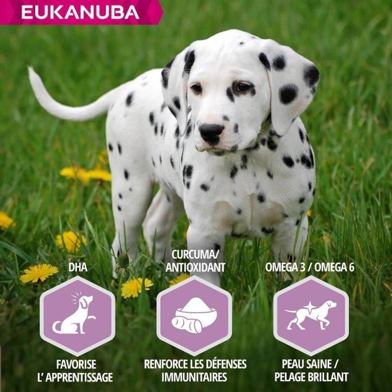 Eukanuba - CROQUETTES CHIEN PUPPY JUNIOR AGNEAU LARGE - EUKANUBA 12 kg - Imagen 3