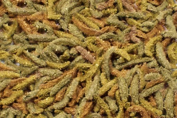 Bubimex - Granulés Grainless Health Complete pour lapins adultes - Image 2