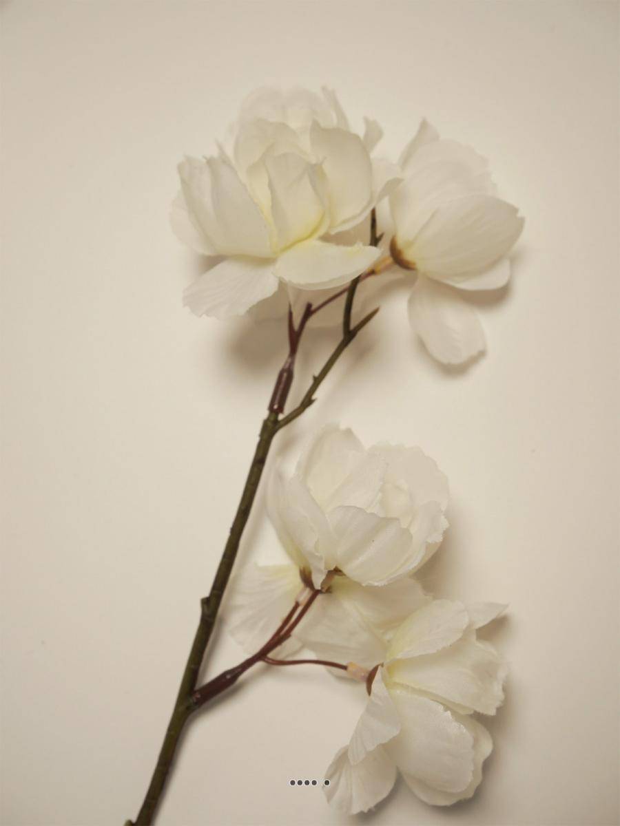 Artificielles - Superbe branche de cerisier artificielle L 86 cm Blanc - Imagen 3