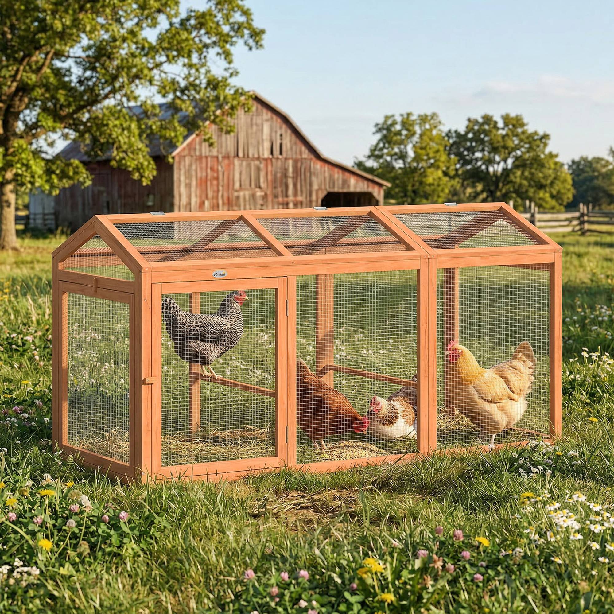 Poulailler avec perchoir, double porte, en bois et métal, pour 4 poules, 156 x 70,5 x 84 cm, orange - Image 4