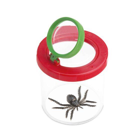 Navir - Boite loupe - Image 1