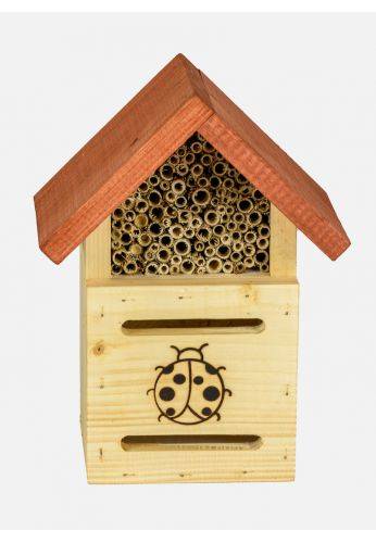 MKW - Hotel à insectes modèle coccinelles - Image 2