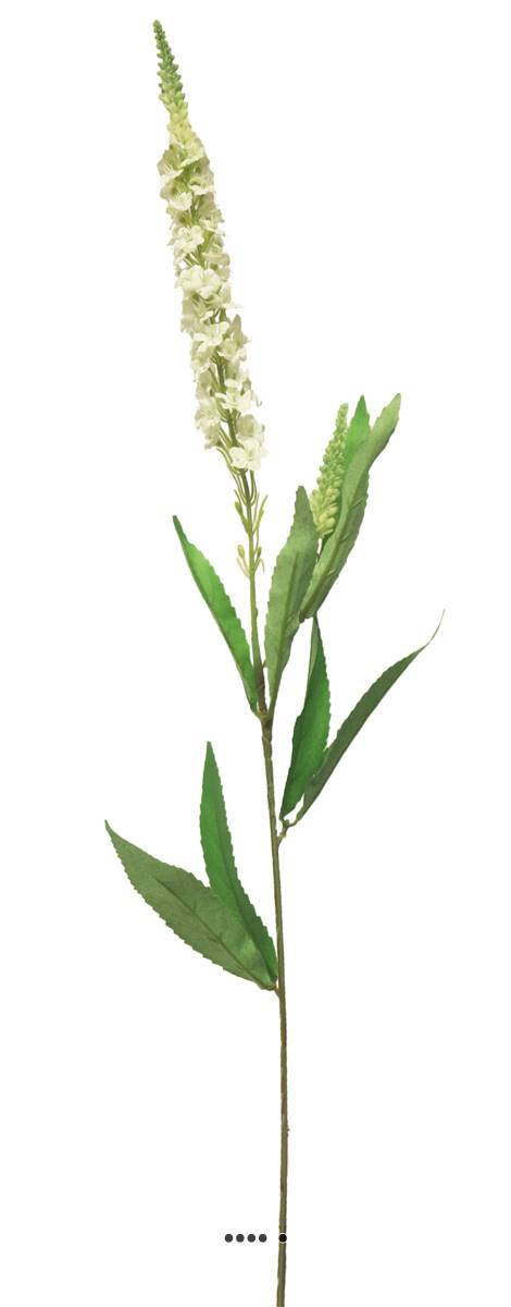 Artificielles - Véronique artificielle, une fleur en tige, H 76 cm Crème - BEST - couleur: Crème - Imagen 2