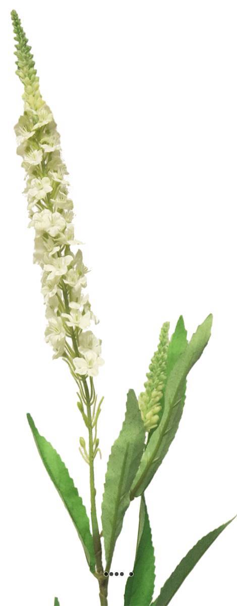 Artificielles - Véronique artificielle, une fleur en tige, H 76 cm Crème - BEST - couleur: Crème - Imagen 3