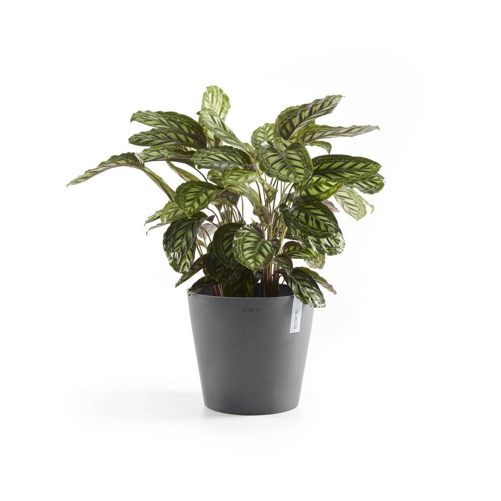 Ecopots - Pot Rond Amsterdam 25 Gris - Ø 25,4 x H. 24,5 cm - 9,7 L ECOPOTS - Imagen 4