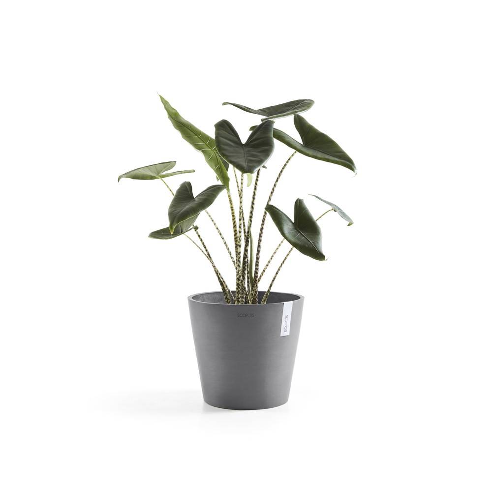 Ecopots - Pot Rond Amsterdam 25 Gris - Ø 25,4 x H. 24,5 cm - 9,7 L ECOPOTS - Imagen 2