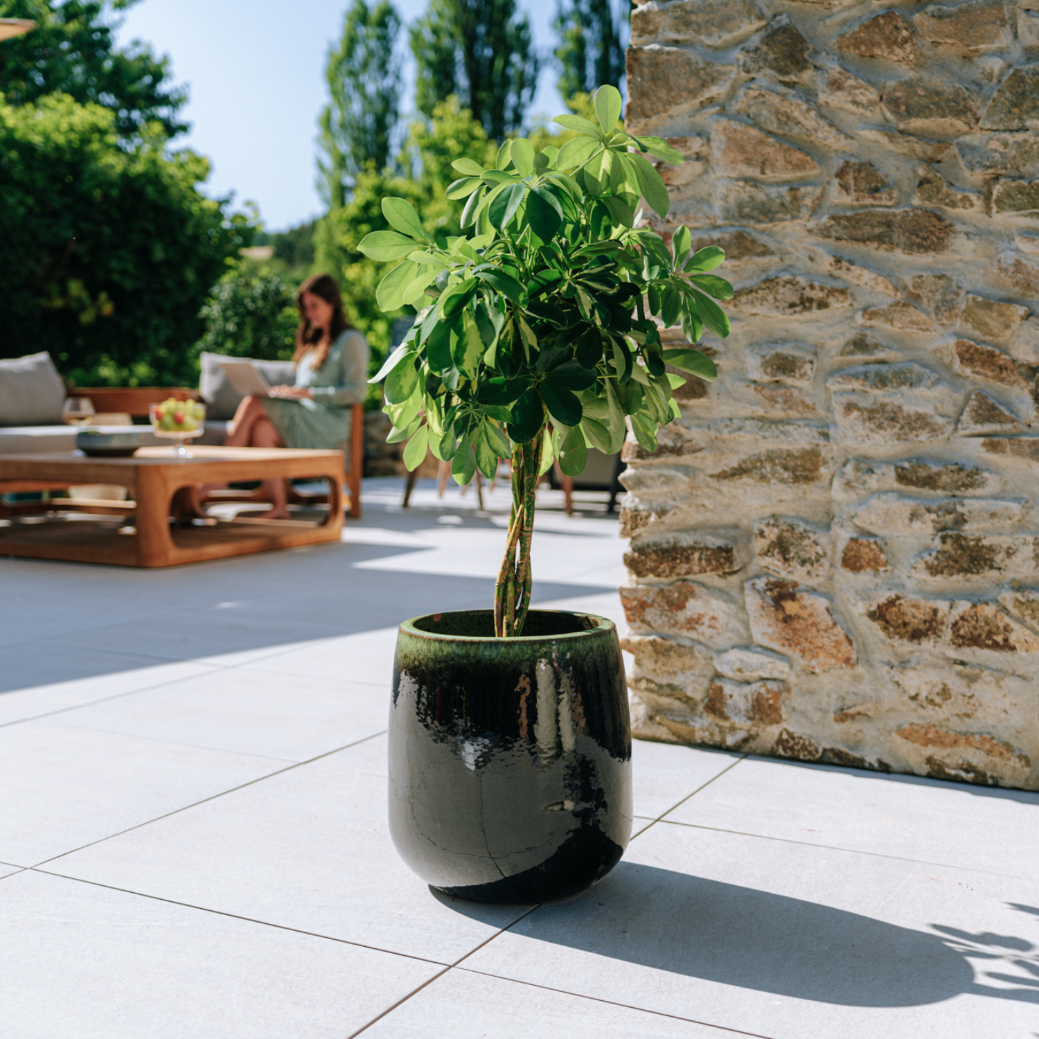 Sitemapcdatahttphauscellcare1comcache Pot Jardilandnull