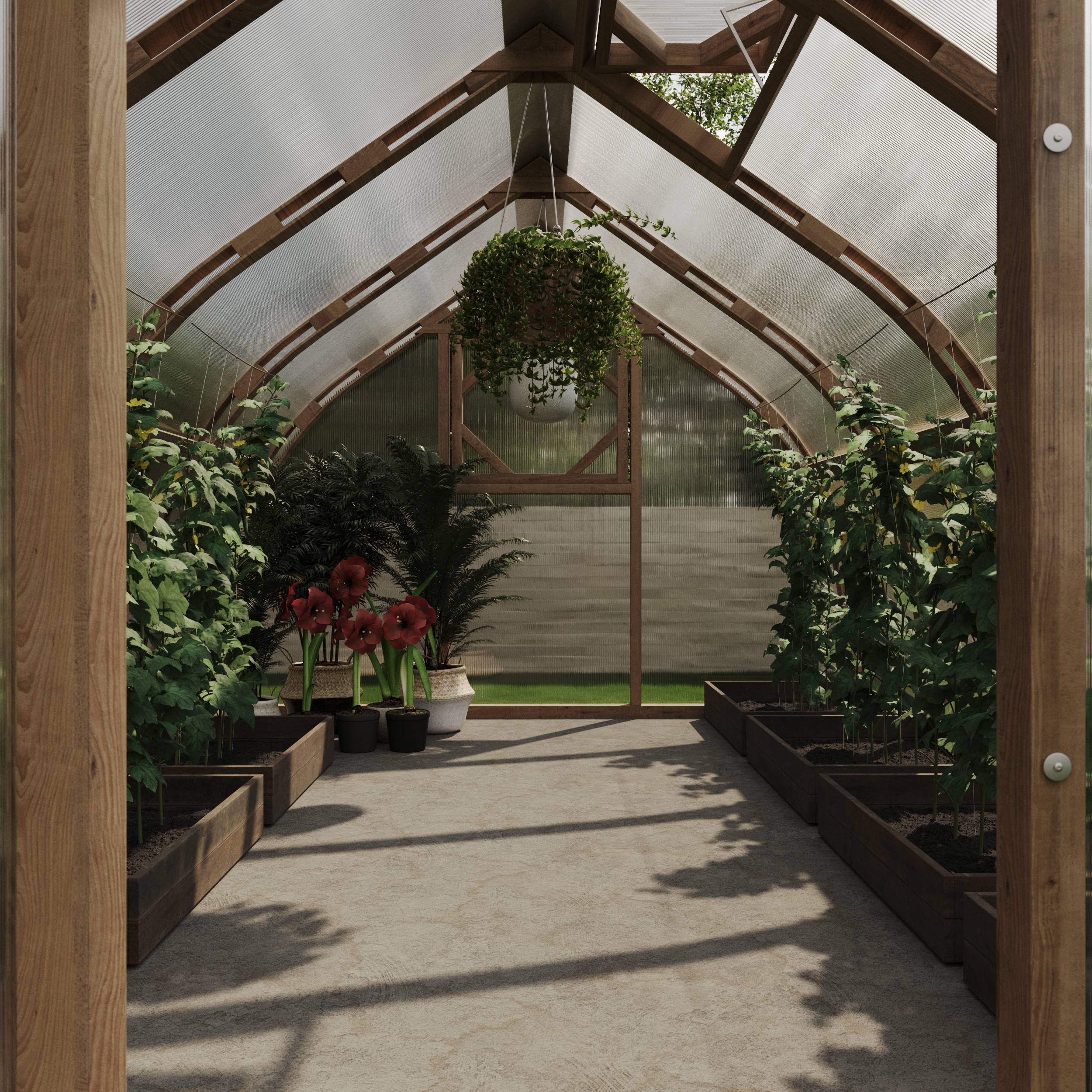 Serre en bois 30m² Norhage Tre 300 - Polycarbonate 16mm - Image 4