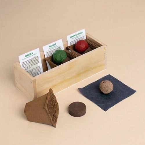 Kit culinaire d'auto culture - Mojito - Imagen 5