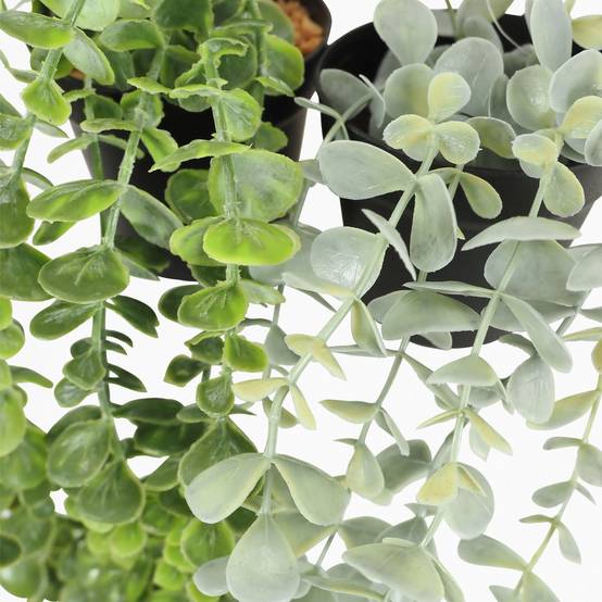 Ligne Deco - Plante succulente retombante artificielle 50cm lot de 2 - Image 7