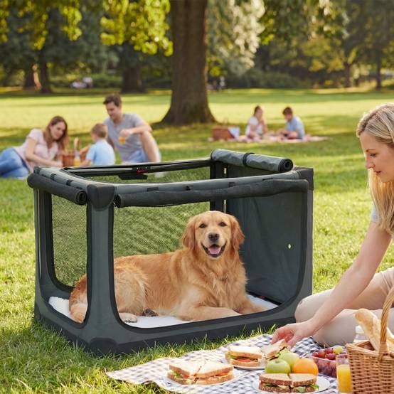 Cage de Transport Pliable pour Chien Tissu Oxford Voyage Auto Aération Optimale 90x64x64cm Gris - ComfortXL Outdoor Living - Image 1