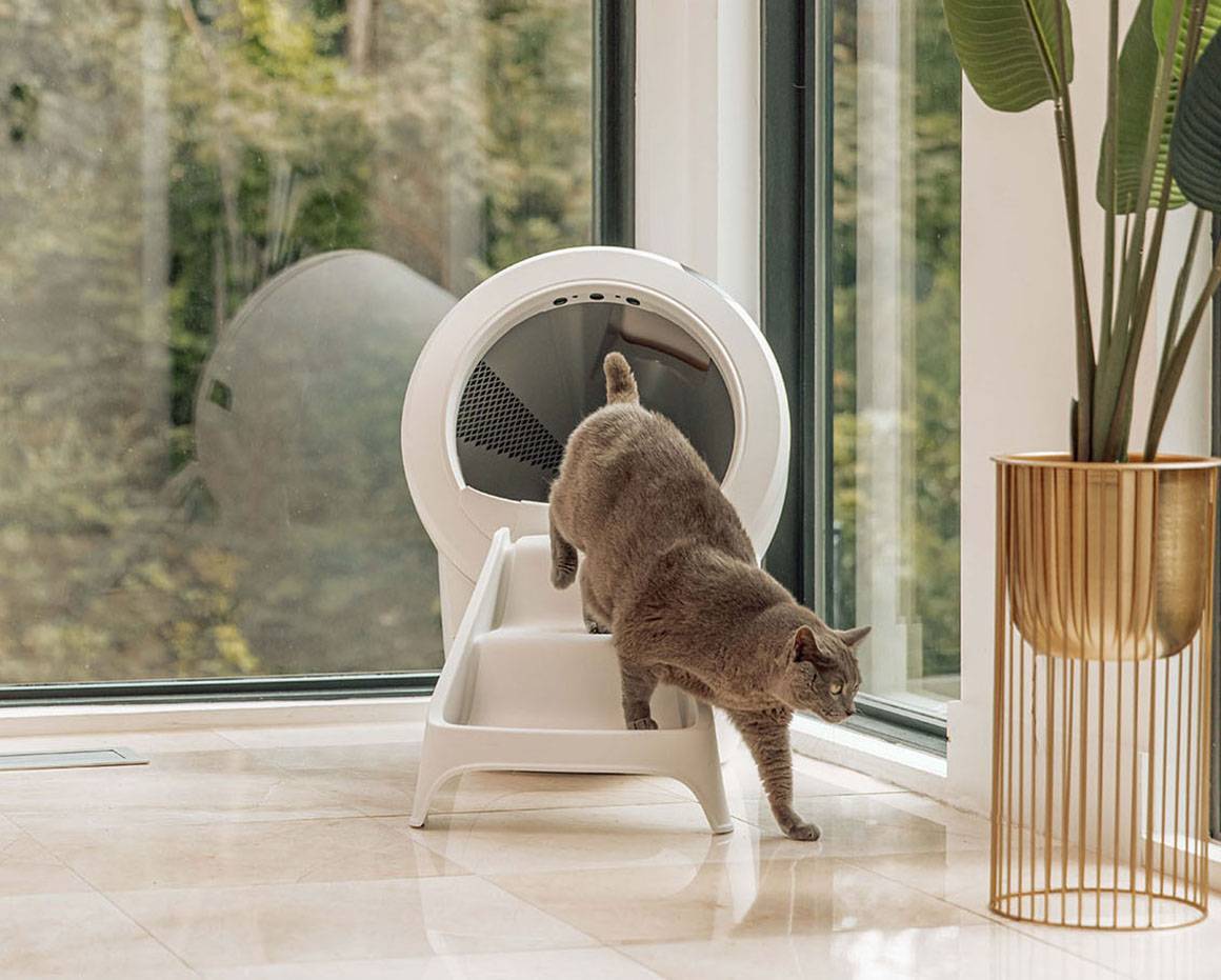 Rampe Litter-Robot 4 - Blanc - Image 4
