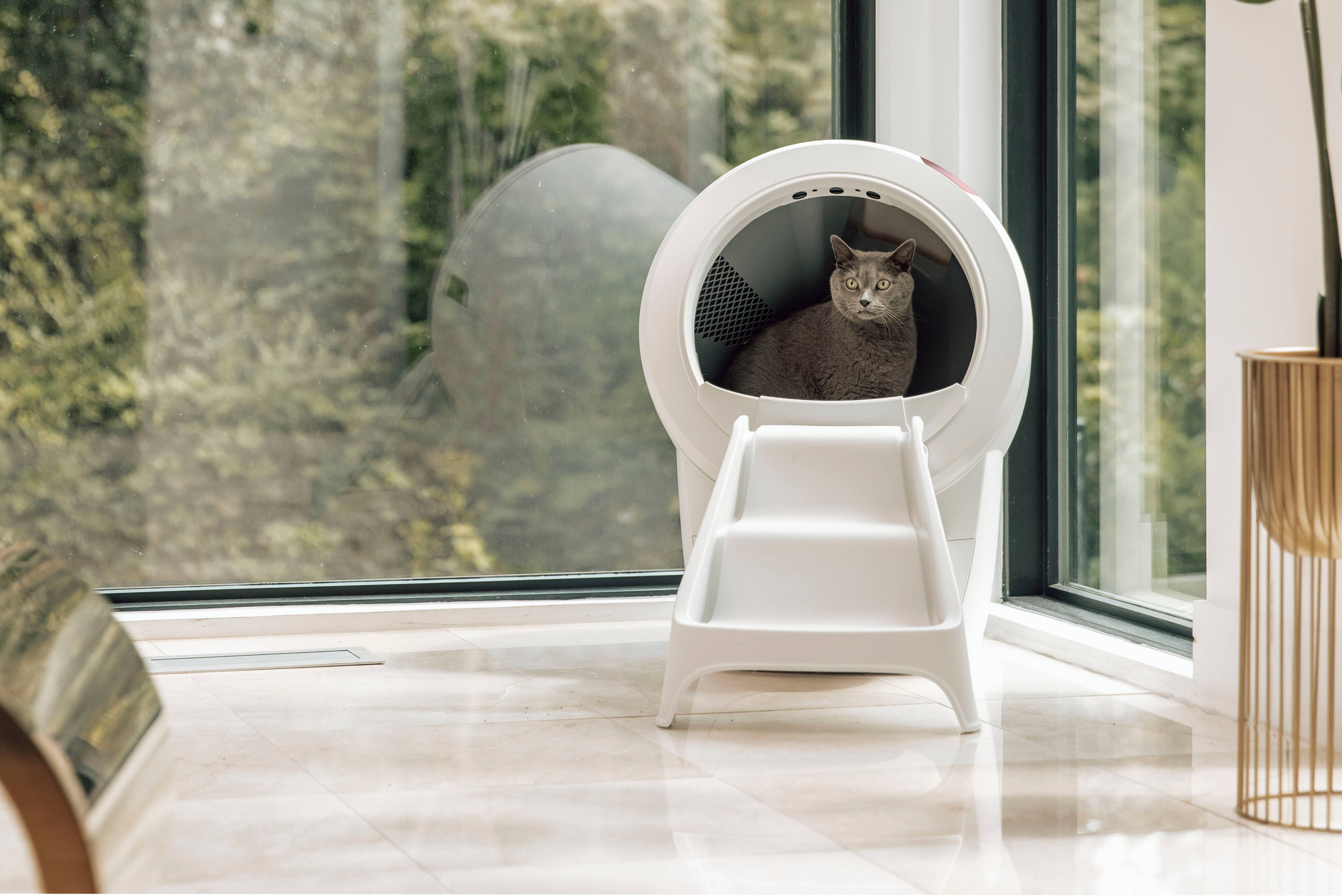 Rampe Litter-Robot 4 - Blanc - Image 5