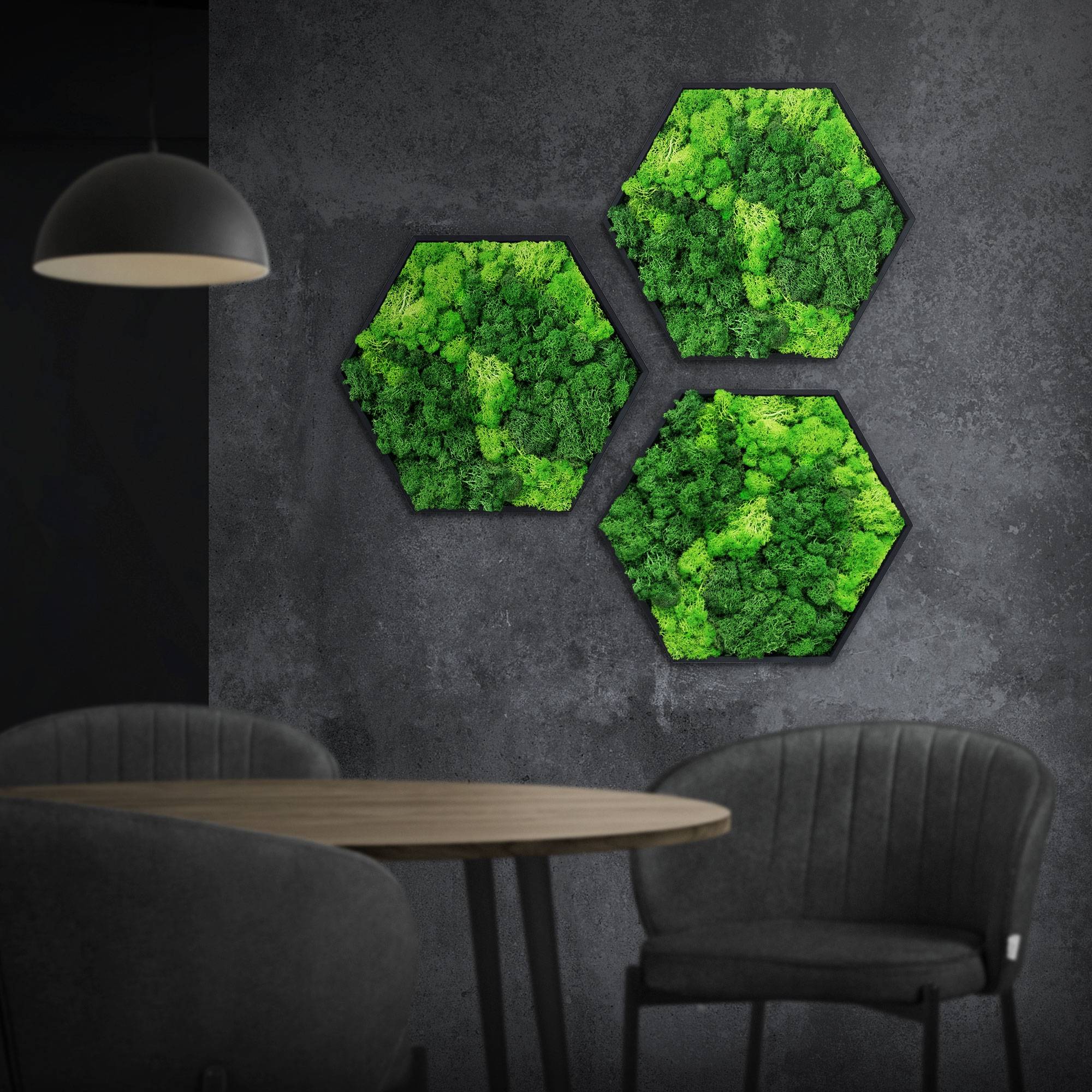 Ecd-Germany - Tableau en mousse de renne stabilisée, hexagonal, 38 x 34 cm, vert, décoration murale végétale d'intérieur, cadre en bois, sans arrosage ni entretien - Image 1
