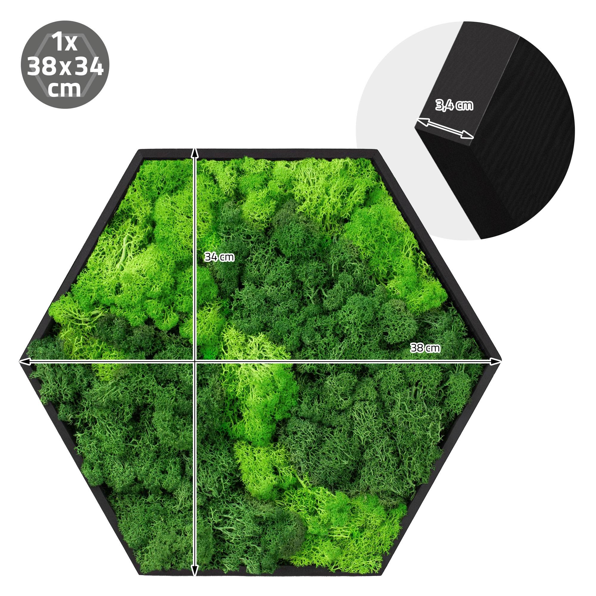 Ecd-Germany - Tableau en mousse de renne stabilisée, hexagonal, 38 x 34 cm, vert, décoration murale végétale d'intérieur, cadre en bois, sans arrosage ni entretien - Image 8