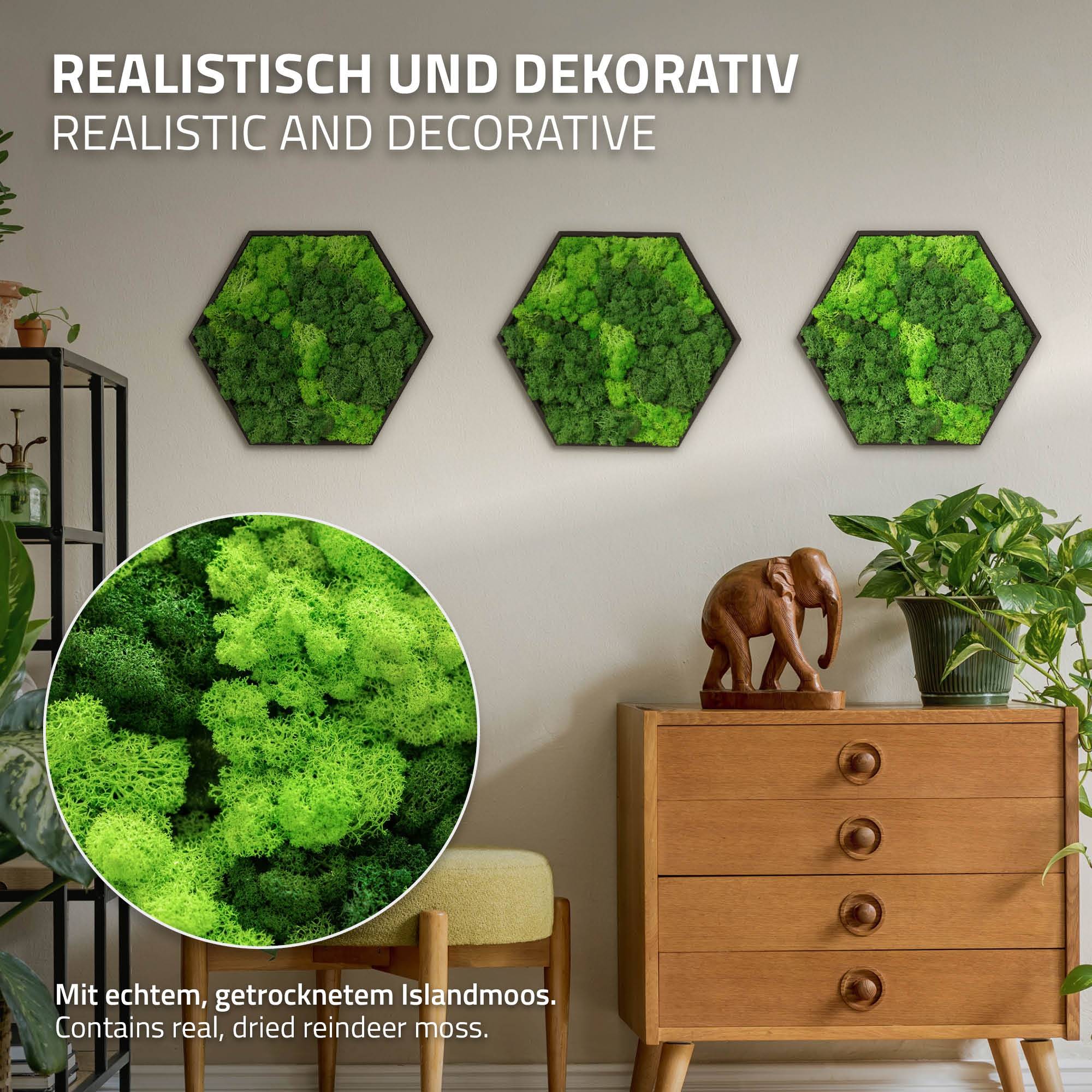 Ecd-Germany - Tableau en mousse de renne stabilisée, hexagonal, 38 x 34 cm, vert, décoration murale végétale d'intérieur, cadre en bois, sans arrosage ni entretien - Image 3