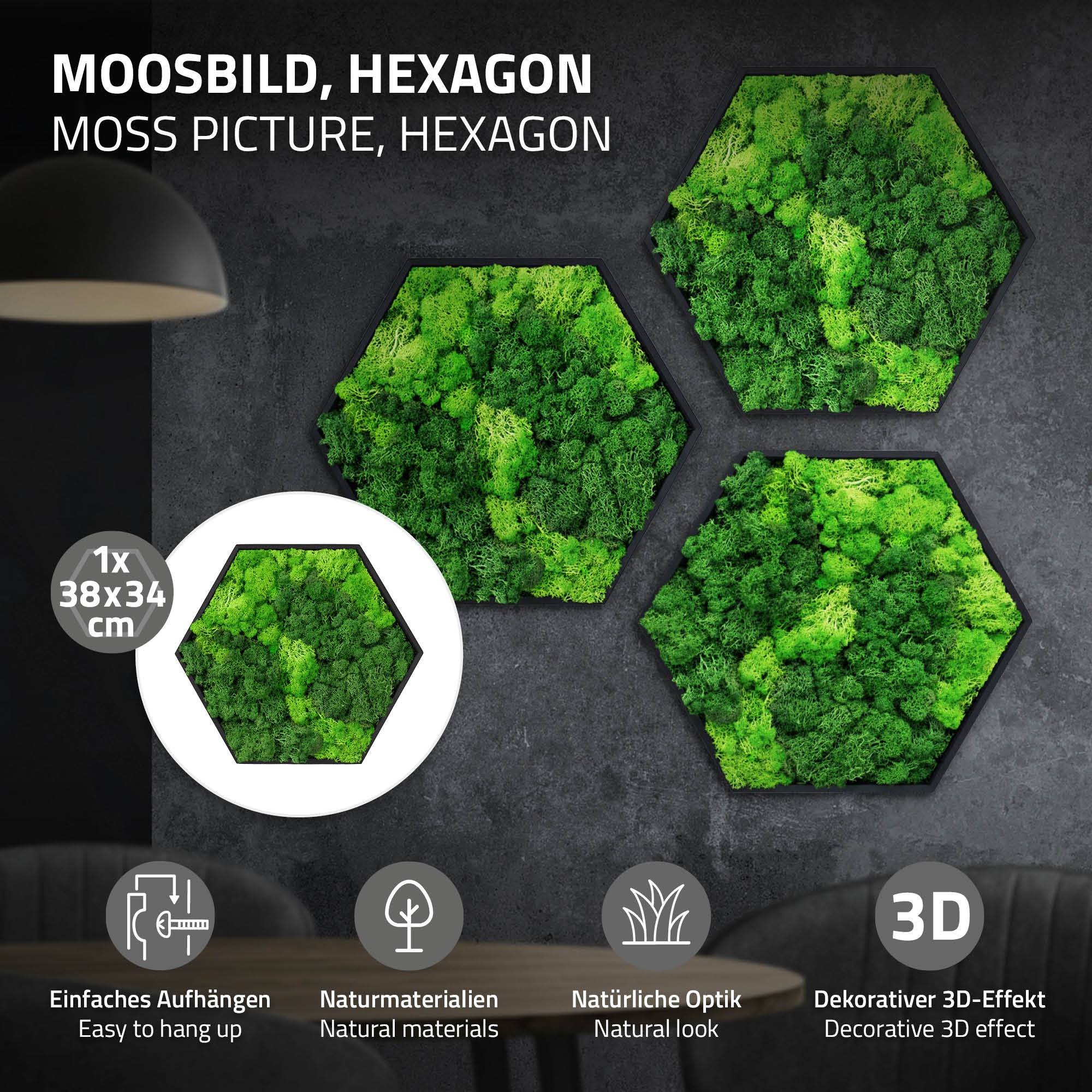 Ecd-Germany - Tableau en mousse de renne stabilisée, hexagonal, 38 x 34 cm, vert, décoration murale végétale d'intérieur, cadre en bois, sans arrosage ni entretien - Image 2