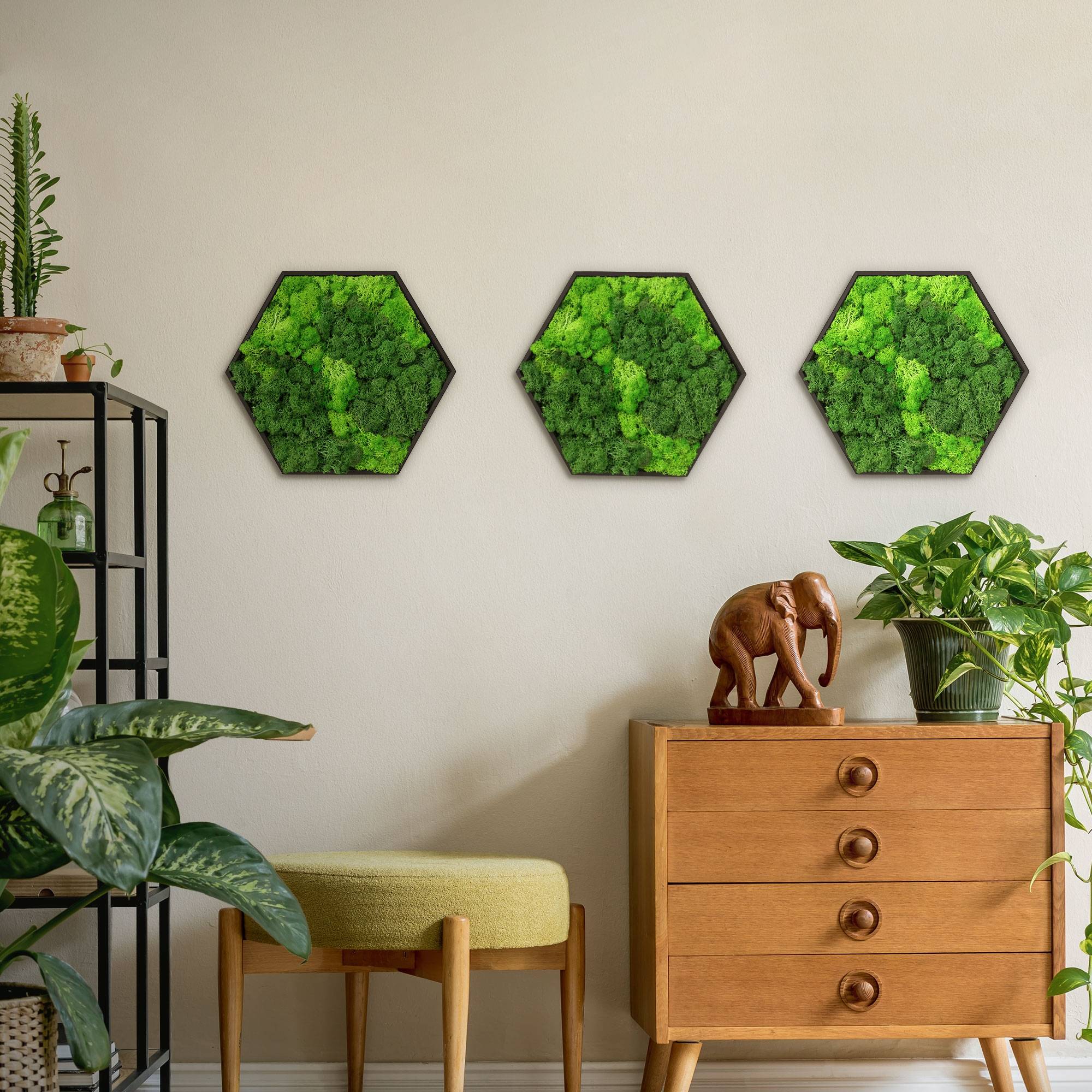 Ecd-Germany - Tableau en mousse de renne stabilisée, hexagonal, 38 x 34 cm, vert, décoration murale végétale d'intérieur, cadre en bois, sans arrosage ni entretien - Image 9