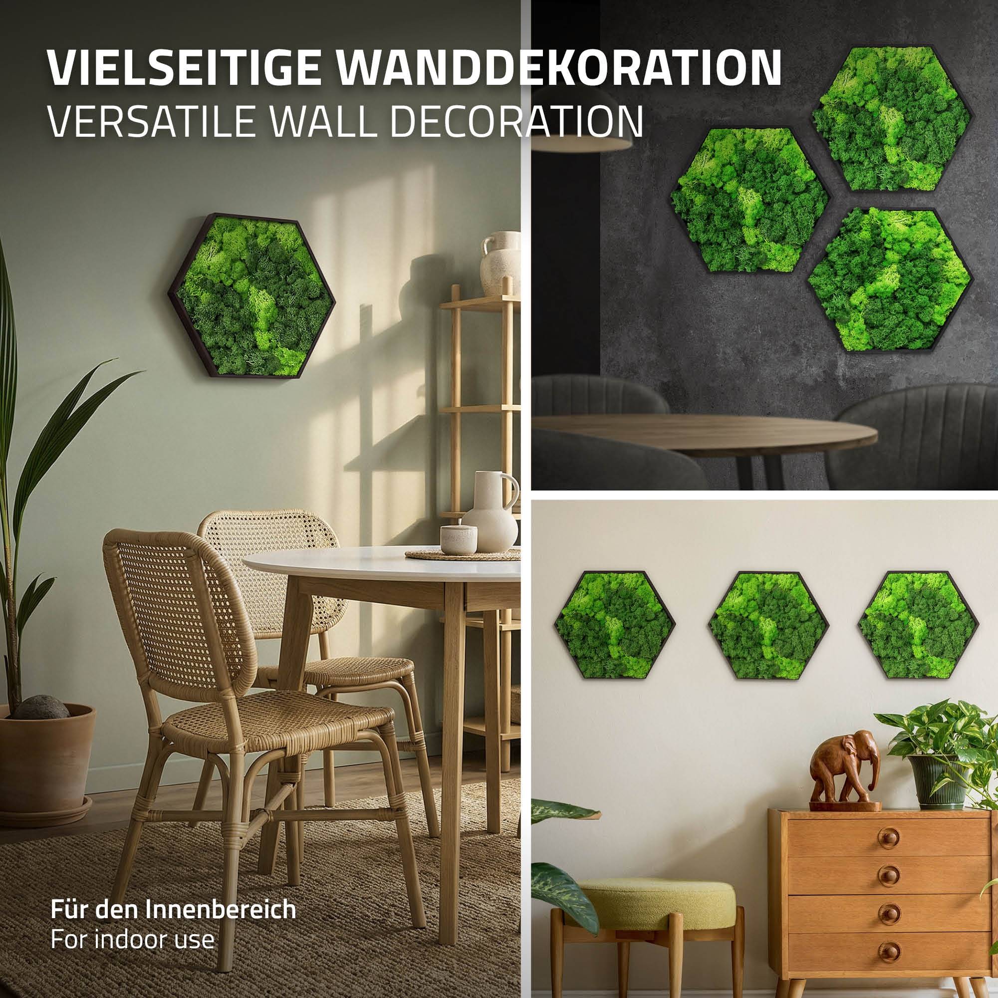 Ecd-Germany - Tableau en mousse de renne stabilisée, hexagonal, 38 x 34 cm, vert, décoration murale végétale d'intérieur, cadre en bois, sans arrosage ni entretien - Image 5
