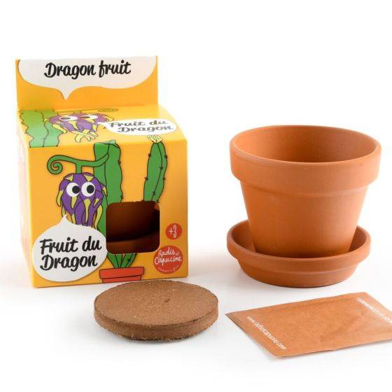 Radis et Capucine - Radis et Capucine - Pot avec coupelle - Fruit du dragon - 8 cm - Imagen 4