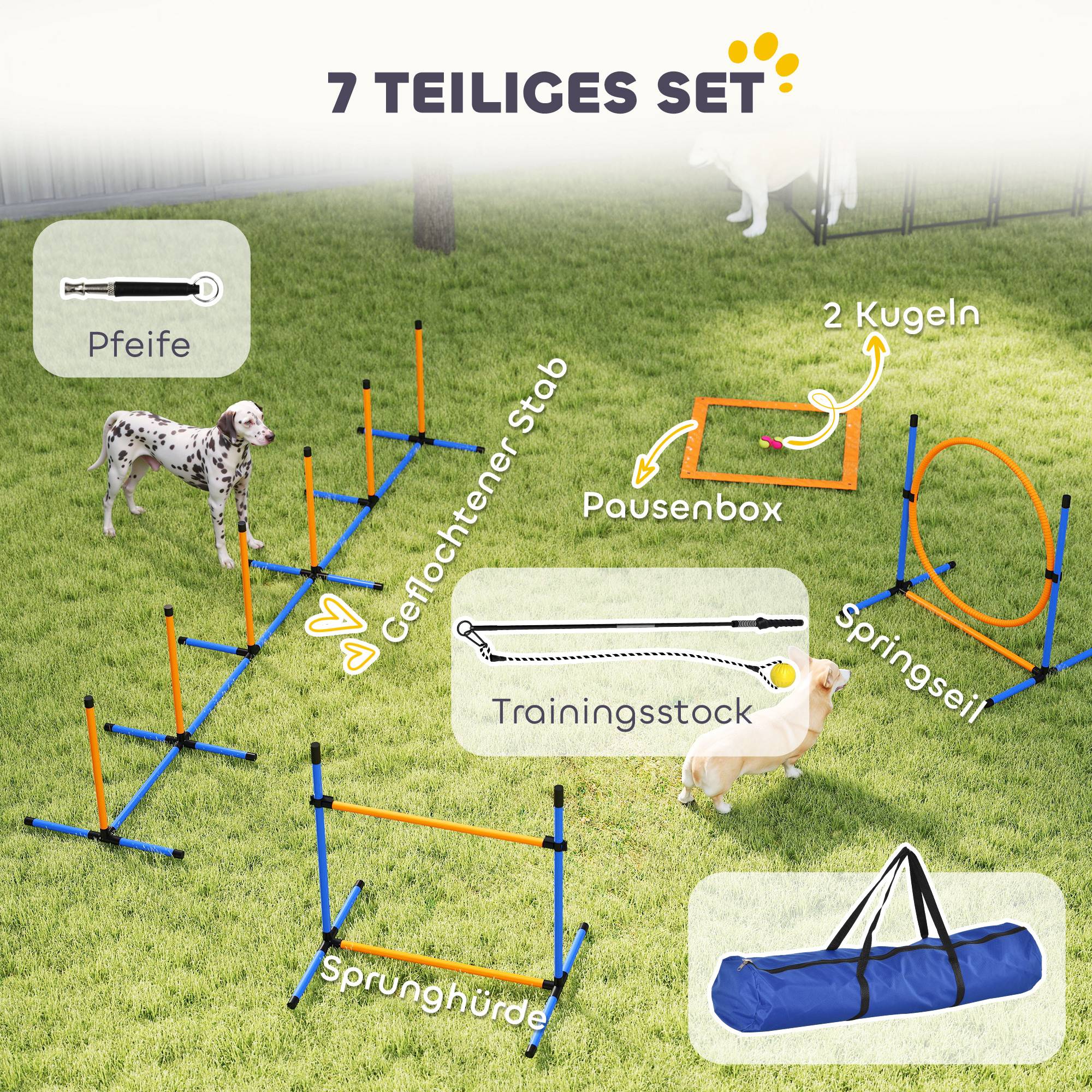 Kit d'agilité pour chien plastique multicolore 348 x 69 x 69 cm - PANGIVO - Image 6
