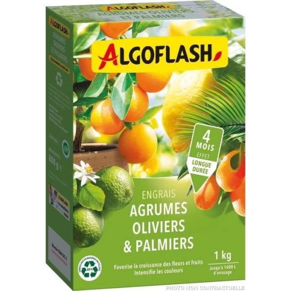 Algoflash Naturasol - Engrais Agrumes, Olivers Et Palmiers - Algoflash Naturasol - 1 Kg - Imagen 2