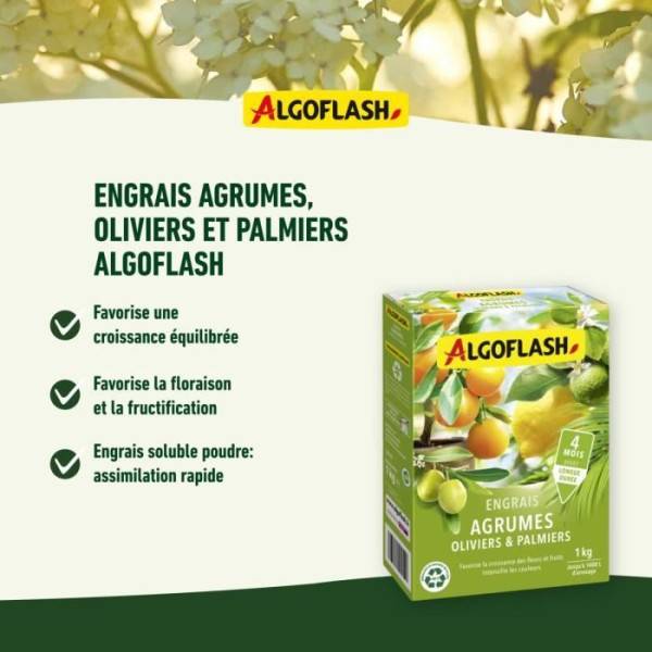 Algoflash Naturasol - Engrais Agrumes, Olivers Et Palmiers - Algoflash Naturasol - 1 Kg - Imagen 3