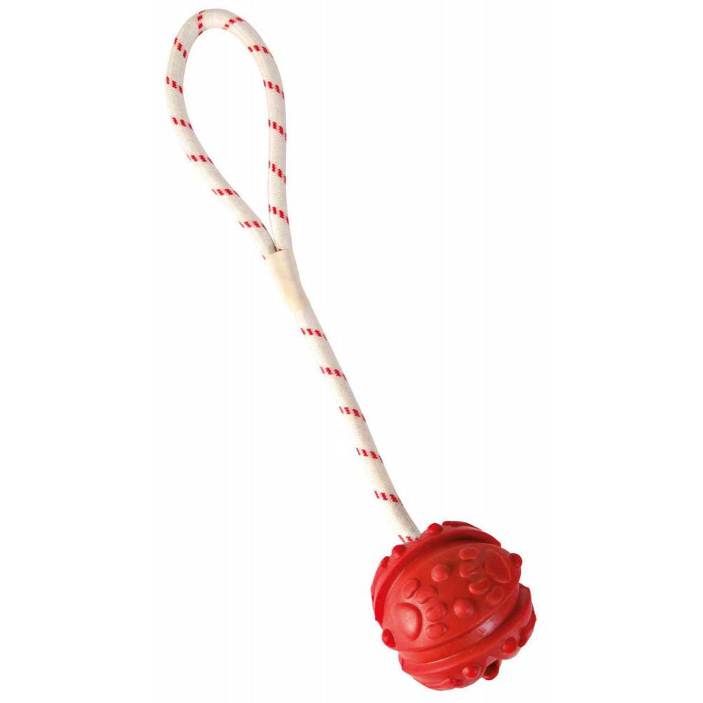 animallparadise - Jeu aquatique Balle sur corde, Dimensions: ø 4,5/35 cm, couleur aléatoire, pour votre chien. - Imagen 2
