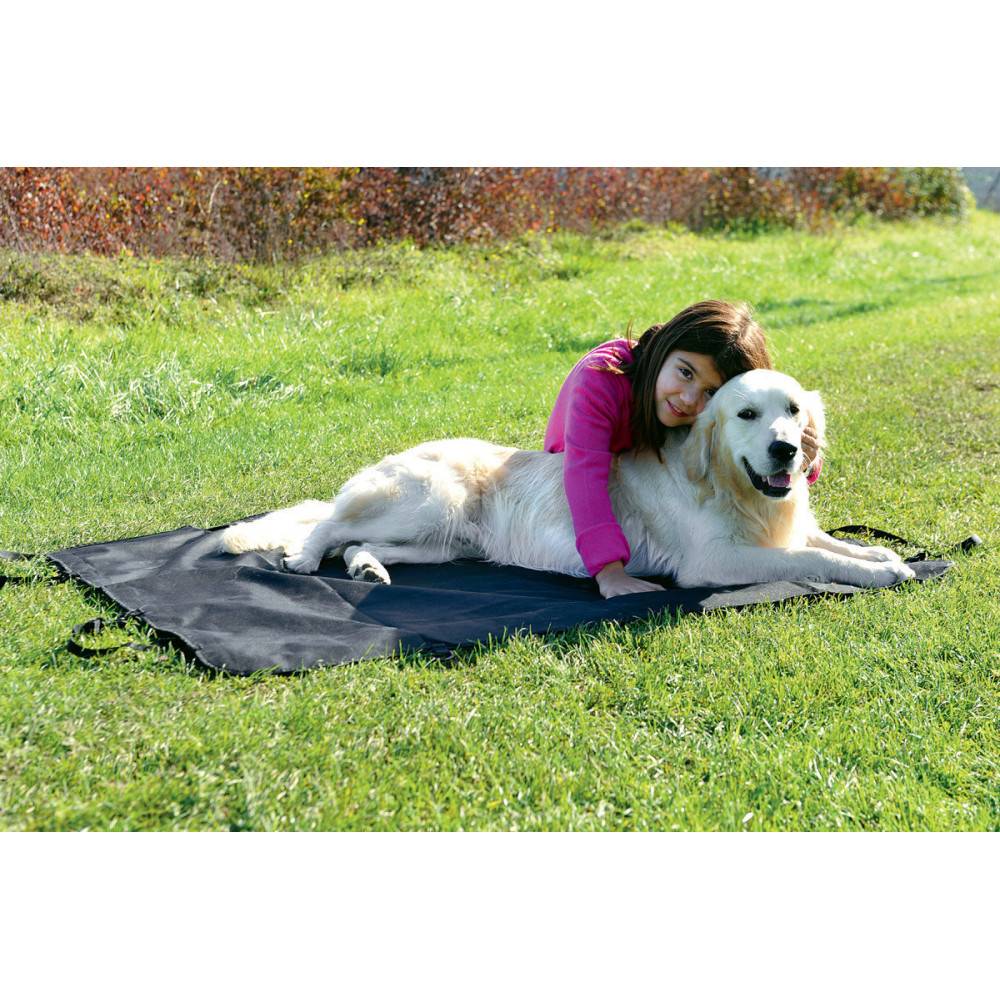 Plaid de protection voiture auto réglable, pour chien - Image 3
