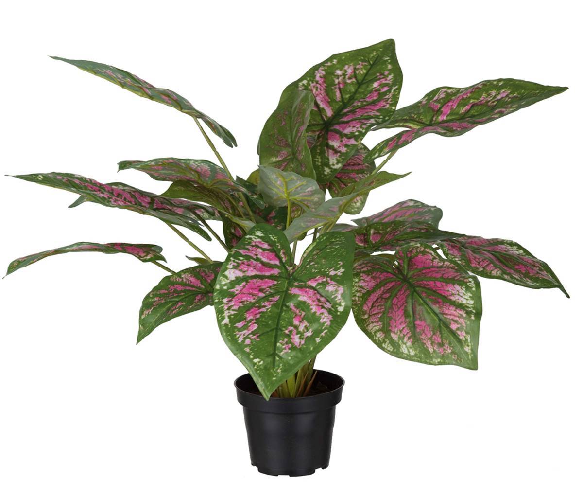 Artificielles - Caladium artificiel en pot H 40 cm D 50 cm Grandes feuilles tissu top - Imagen 1