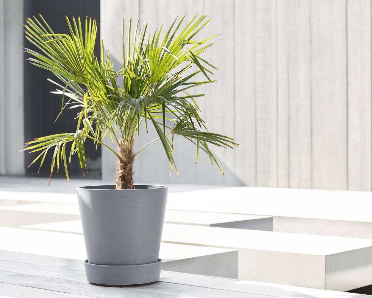 Ecopots - Support à roulettes Wheels 40 Bleu Gris - Ø 34,1 x H. 9 cm ECOPOTS - Imagen 5