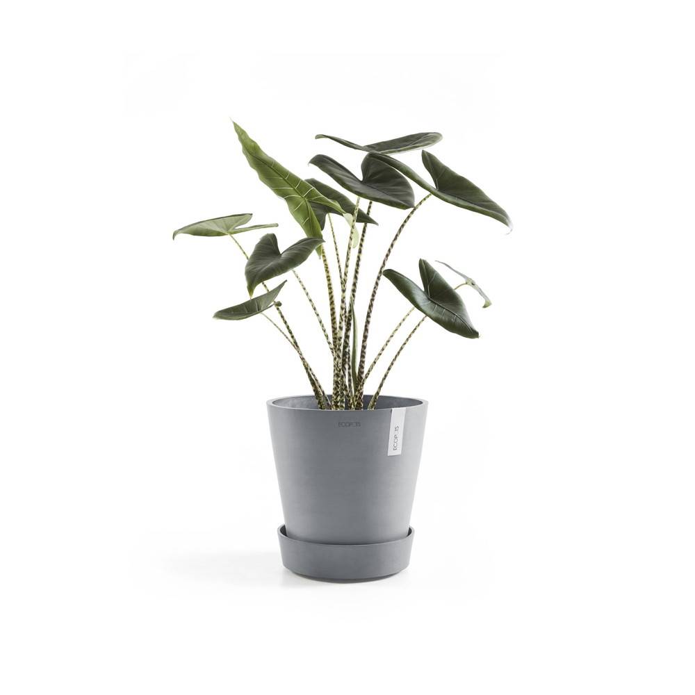 Ecopots - Support à roulettes Wheels 40 Bleu Gris - Ø 34,1 x H. 9 cm ECOPOTS - Imagen 2