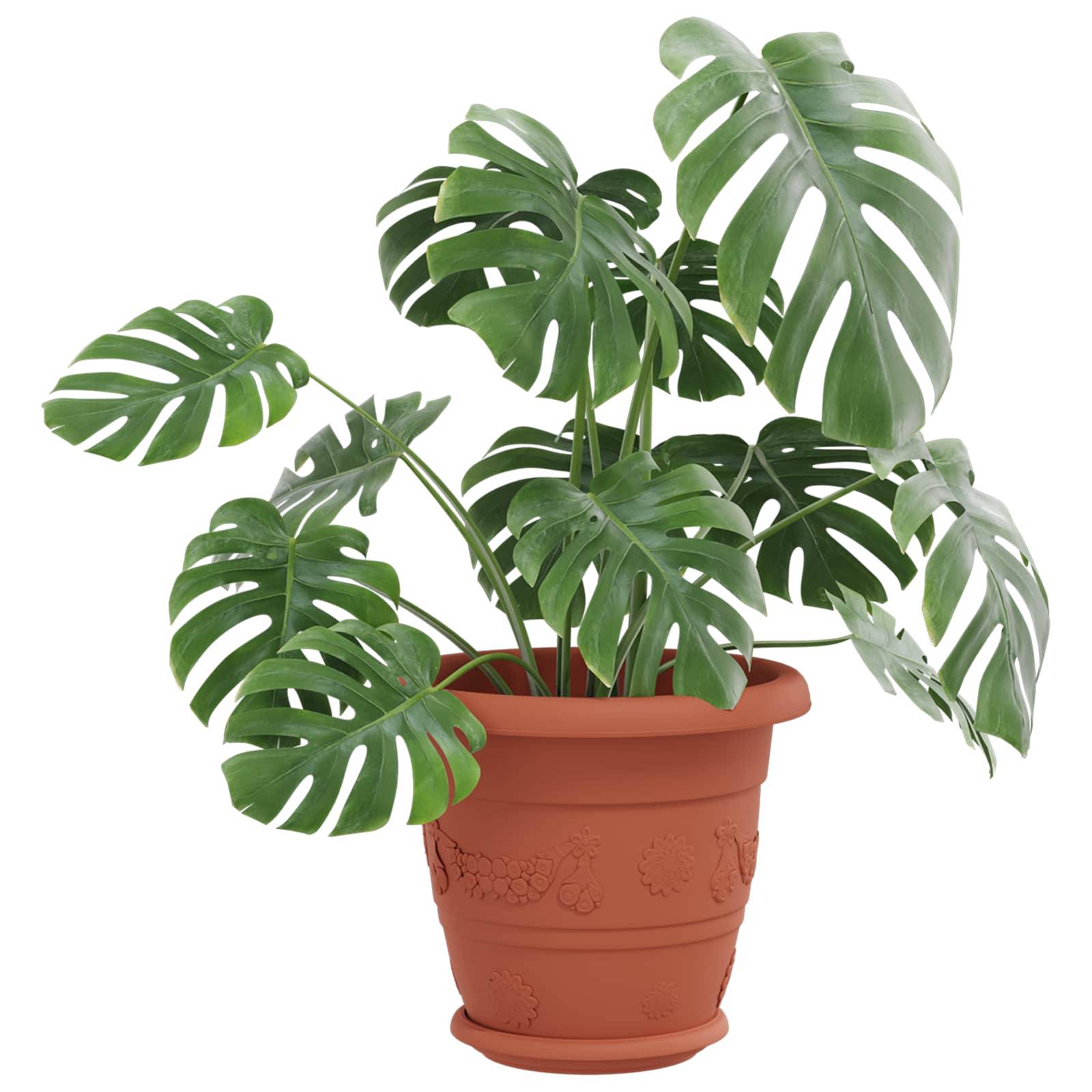 Pots de plantes 24 pcs | Bac à fleurs Rouge brique Ø 26 x 21.5 cm Plastique - Image 3