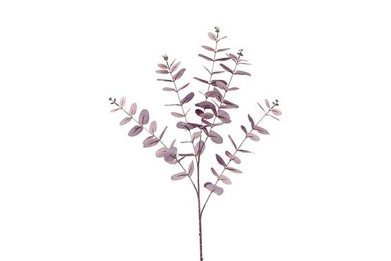 Feuille Eucalyptus Cinerea pourpre-59x28x106CM