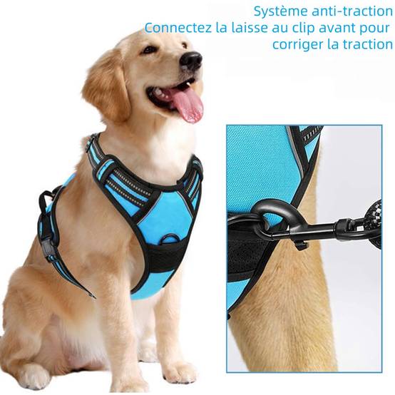 Harnais Anti Traction pour pour Moyen Chien m - IntiMeg - Image 4