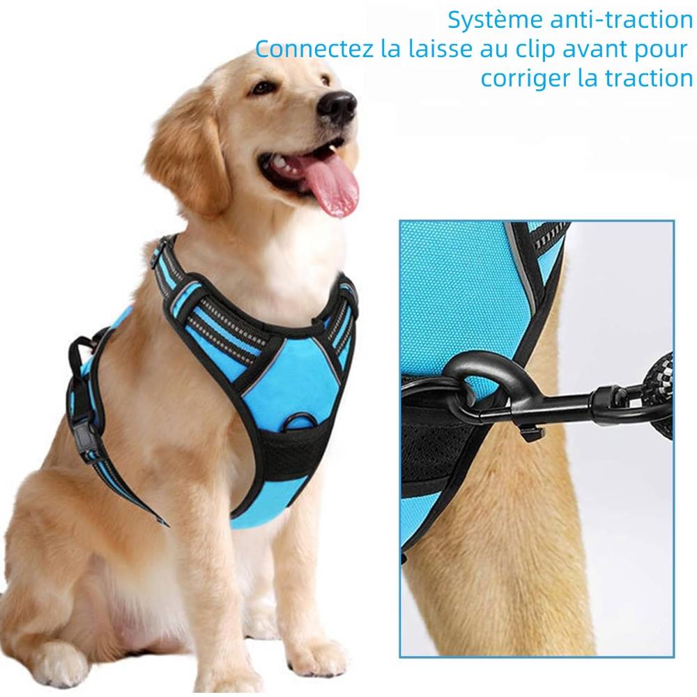 Harnais Anti Traction pour pour Moyen Chien m - IntiMeg - Image 4