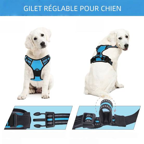 Harnais Anti Traction pour pour Moyen Chien m - IntiMeg - Image 2